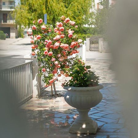פודסטראנה Apartments Nena מראה חיצוני תמונה