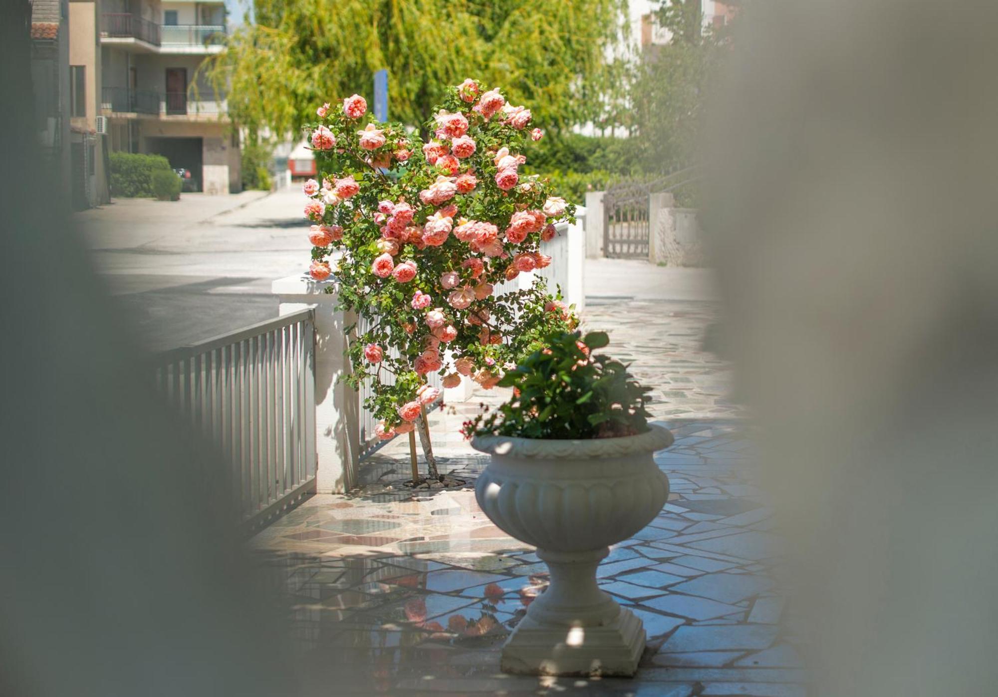 פודסטראנה Apartments Nena מראה חיצוני תמונה