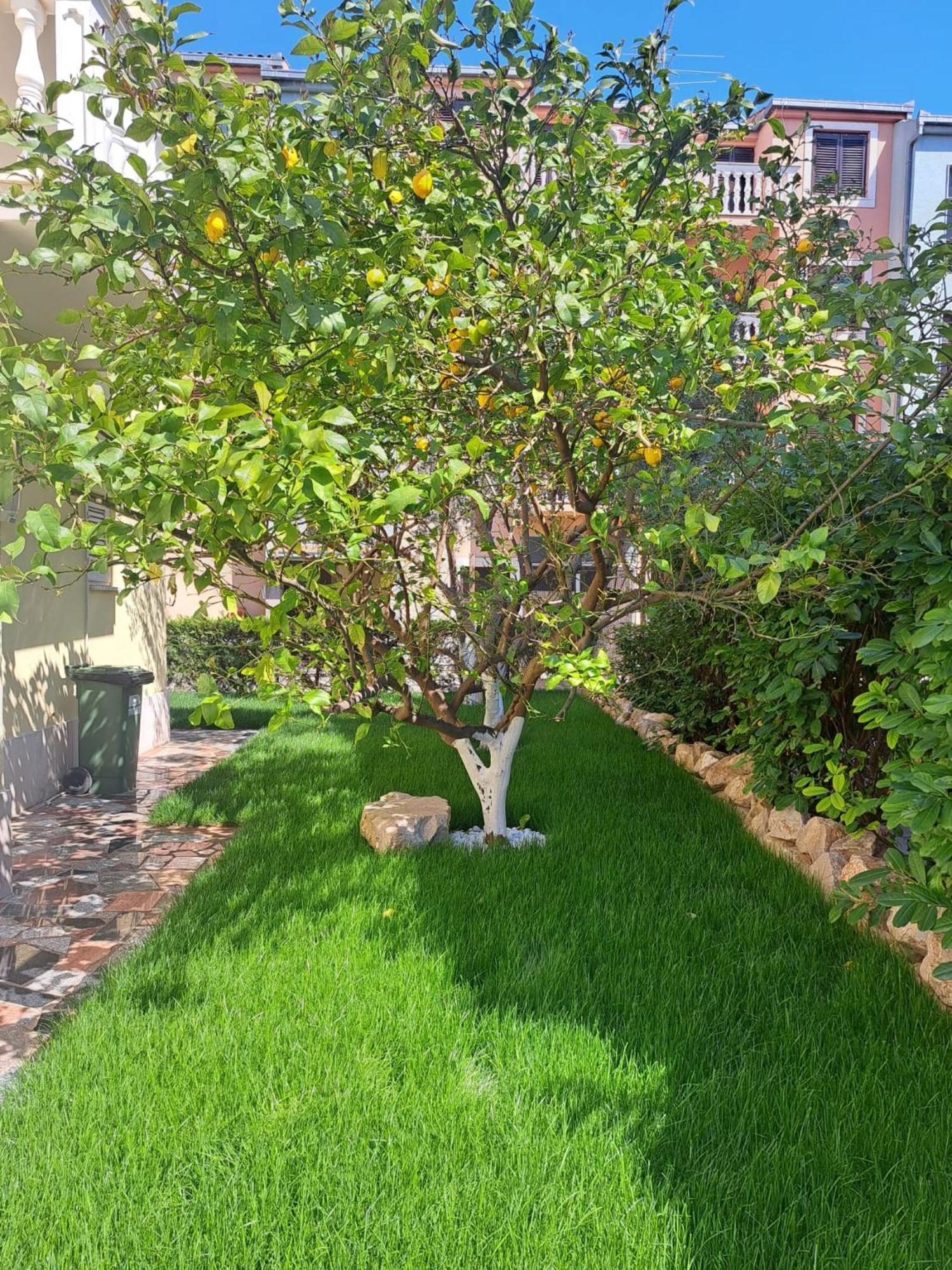 פודסטראנה Apartments Nena מראה חיצוני תמונה